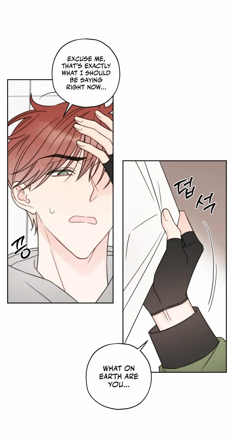 The Cherry Boy