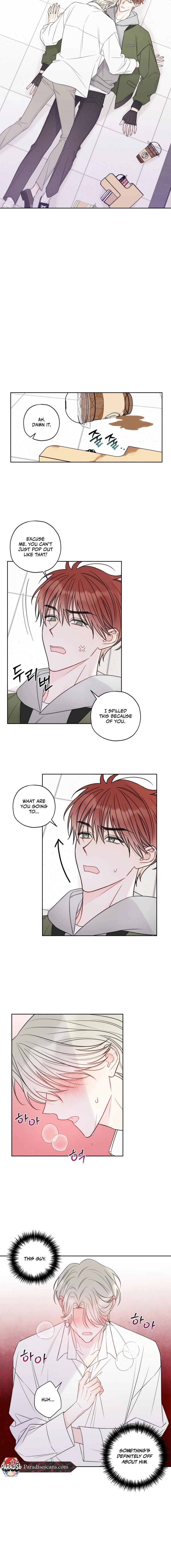 The Cherry Boy