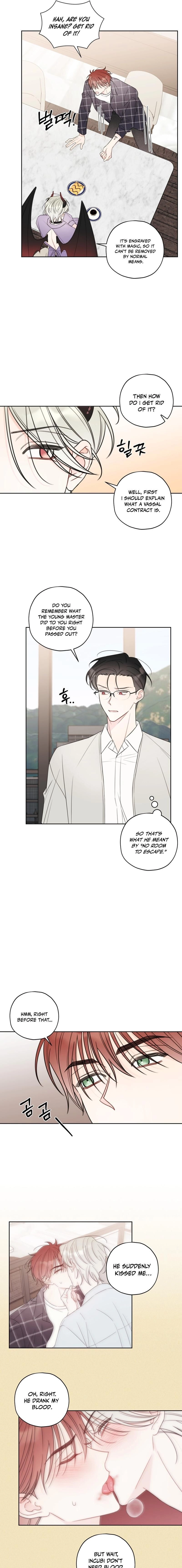 The Cherry Boy