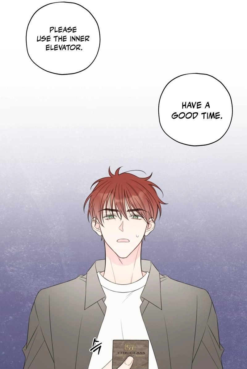 The Cherry Boy