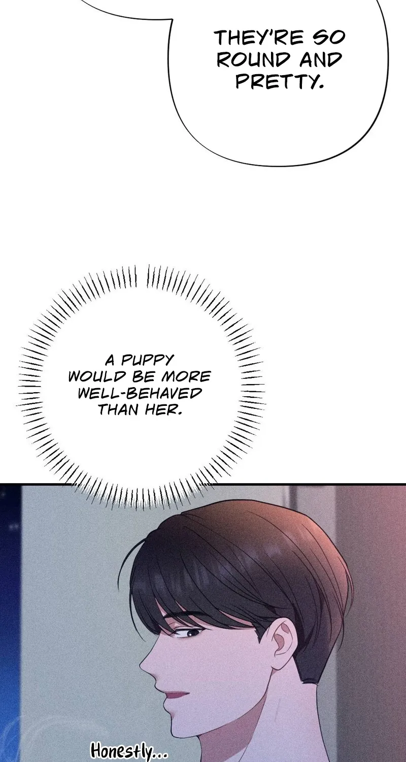 The Child I Secretly Gave Birth To Chapter 12 page 95 - 