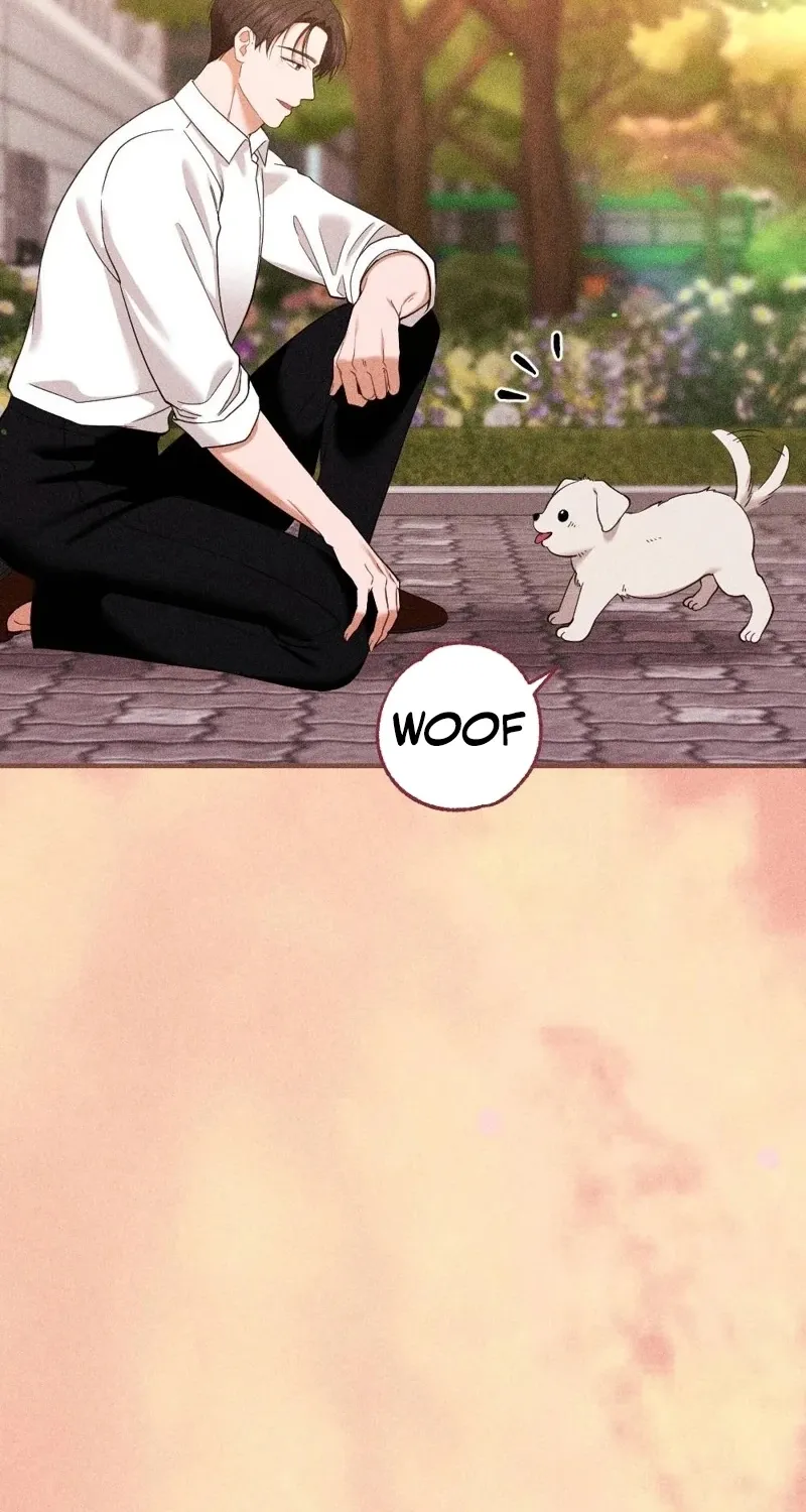 The Child I Secretly Gave Birth To Chapter 13 page 79 - 