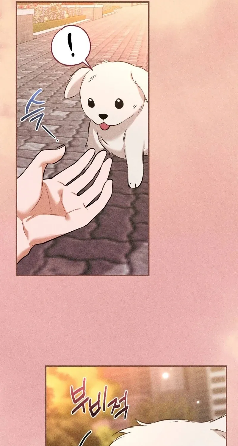 The Child I Secretly Gave Birth To Chapter 13 page 81 - 