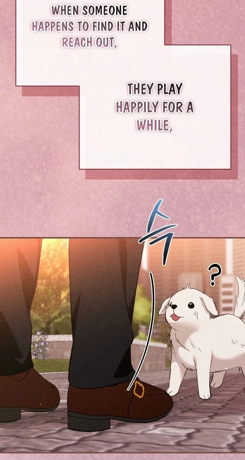 The Child I Secretly Gave Birth To Chapter 13 page 83 - 