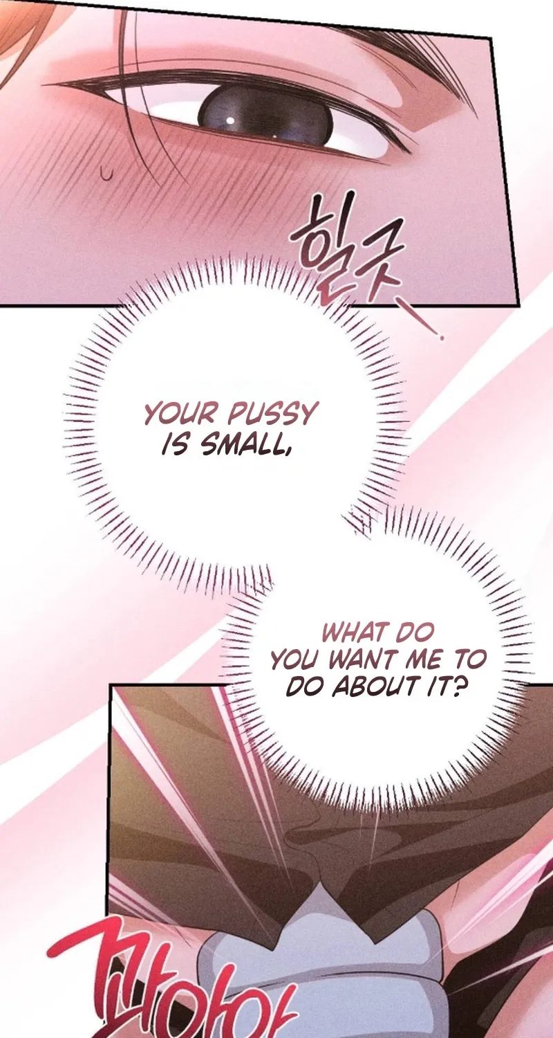 The Child I Secretly Gave Birth To Chapter 15 page 17 - 
