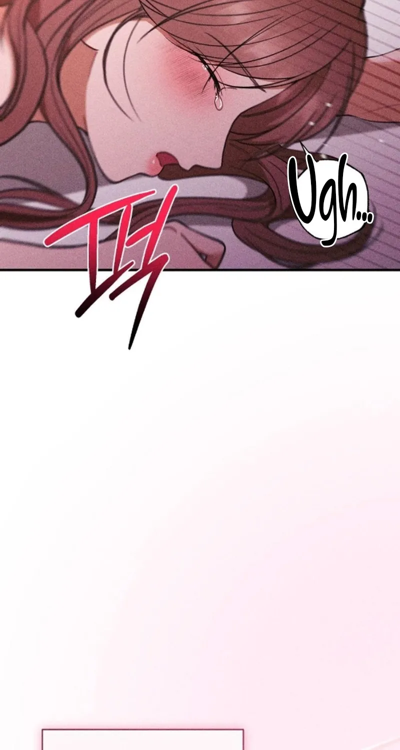 The Child I Secretly Gave Birth To Chapter 16 page 33 - 