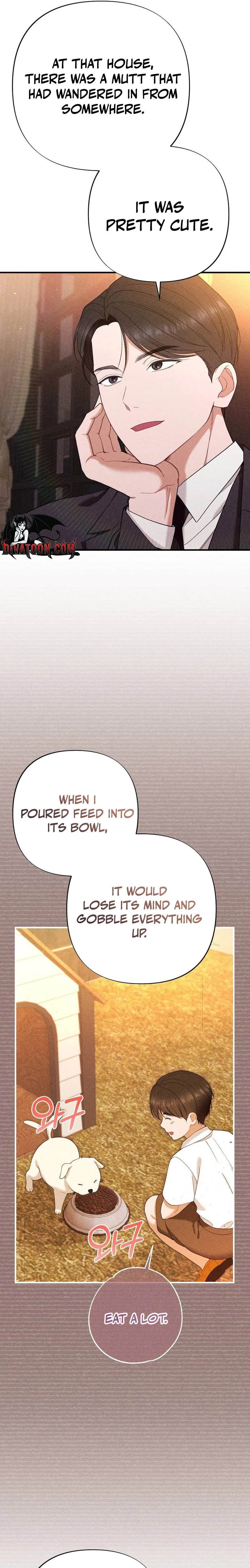 The Child I Secretly Gave Birth To Chapter 20 page 13 - 
