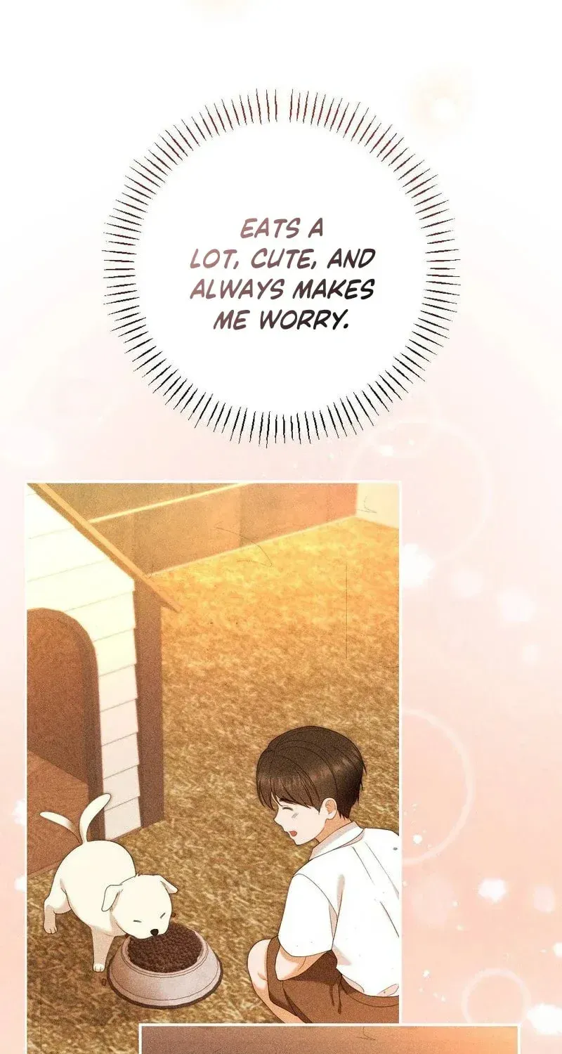 The Child I Secretly Gave Birth To Chapter 21 page 17 - 