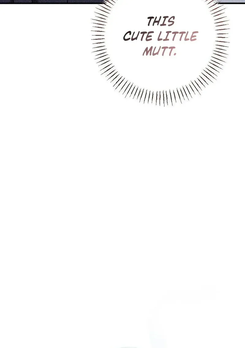 The Child I Secretly Gave Birth To Chapter 21 page 20 - 