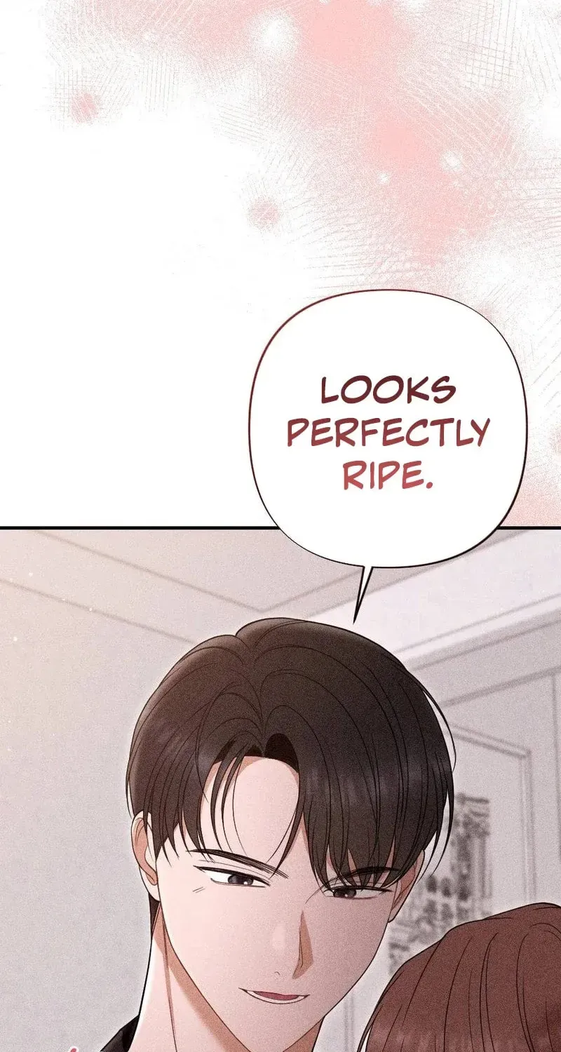 The Child I Secretly Gave Birth To Chapter 21 page 74 - 