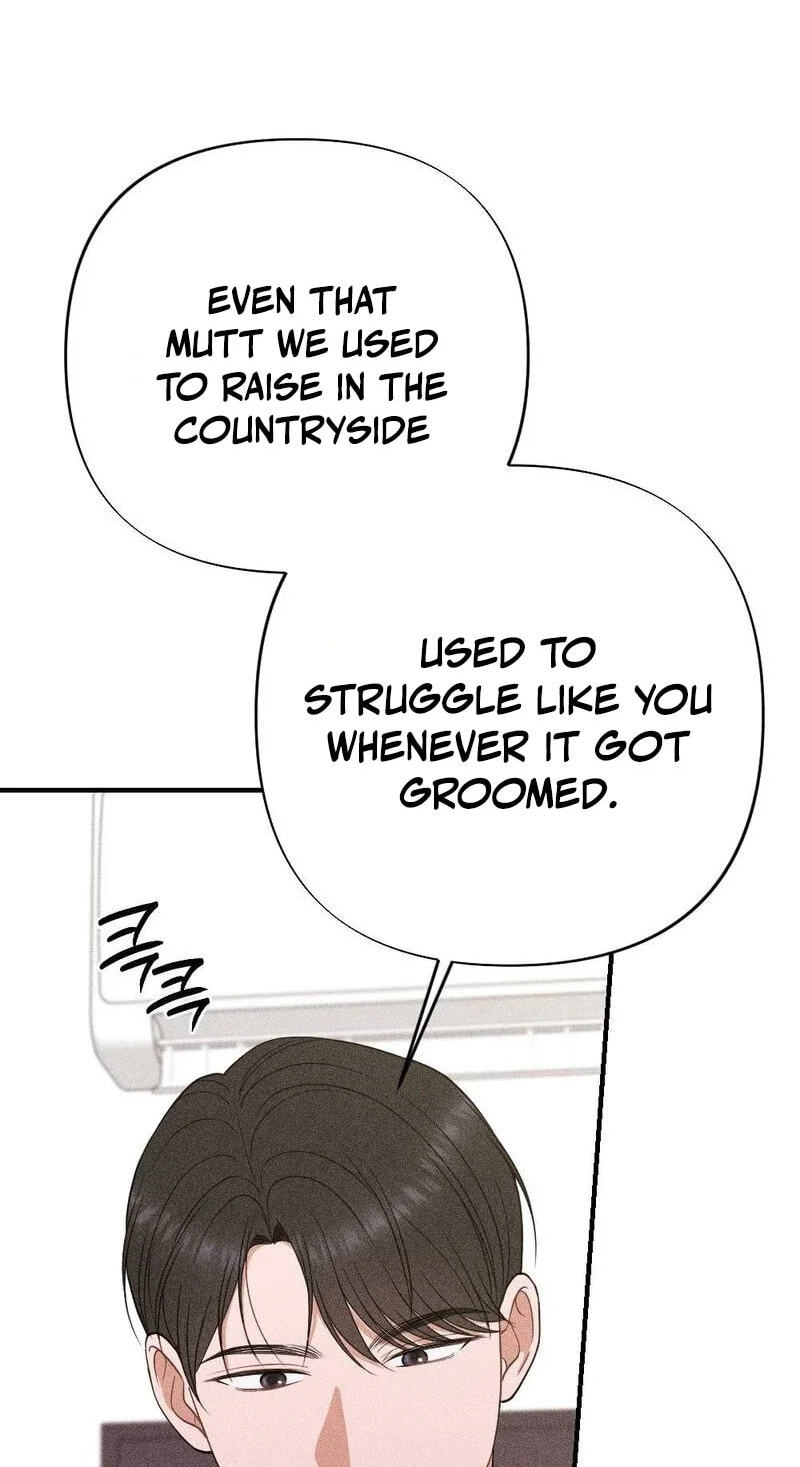 The Child I Secretly Gave Birth To Chapter 24 page 44 - 