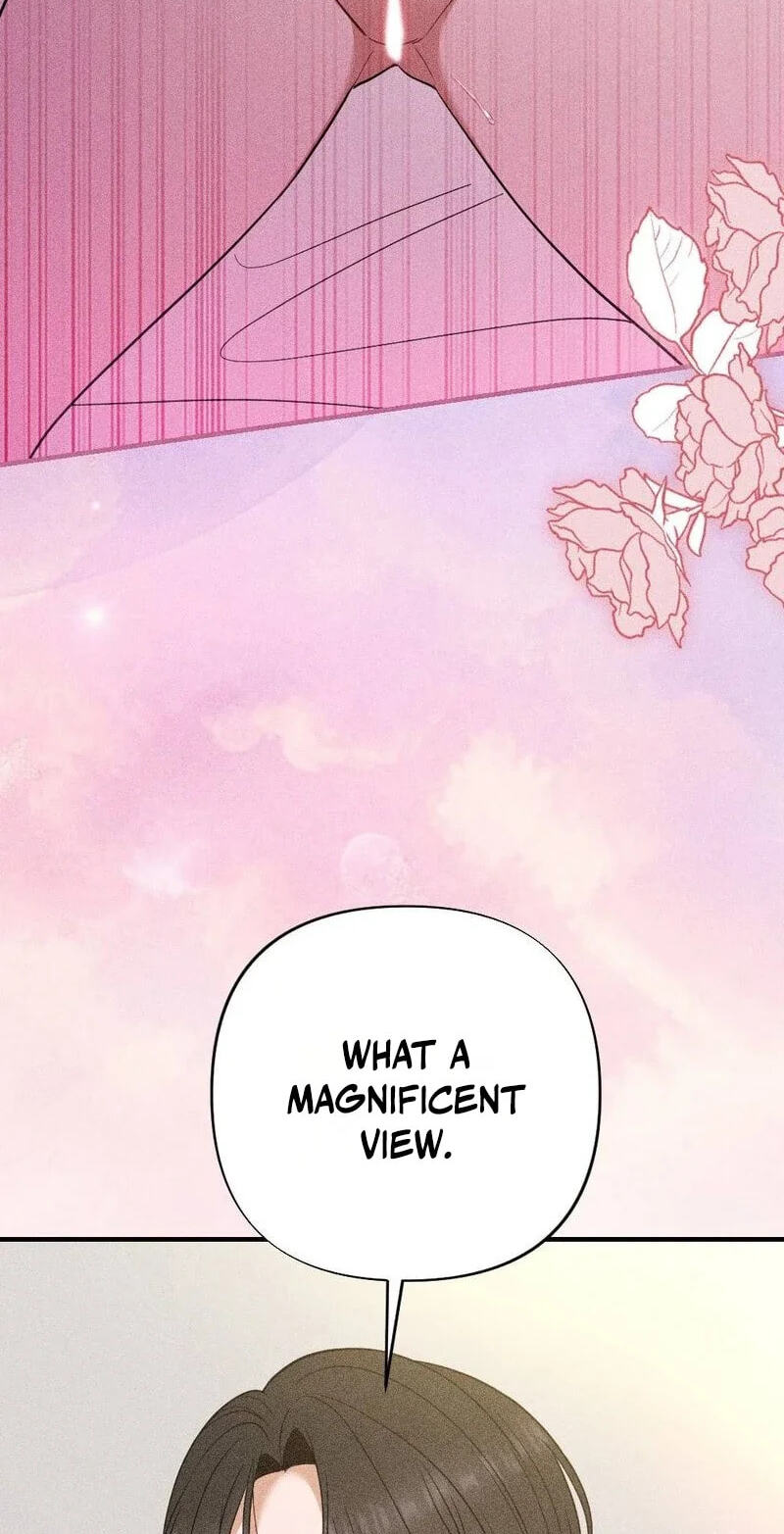 The Child I Secretly Gave Birth To Chapter 24 page 66 - 