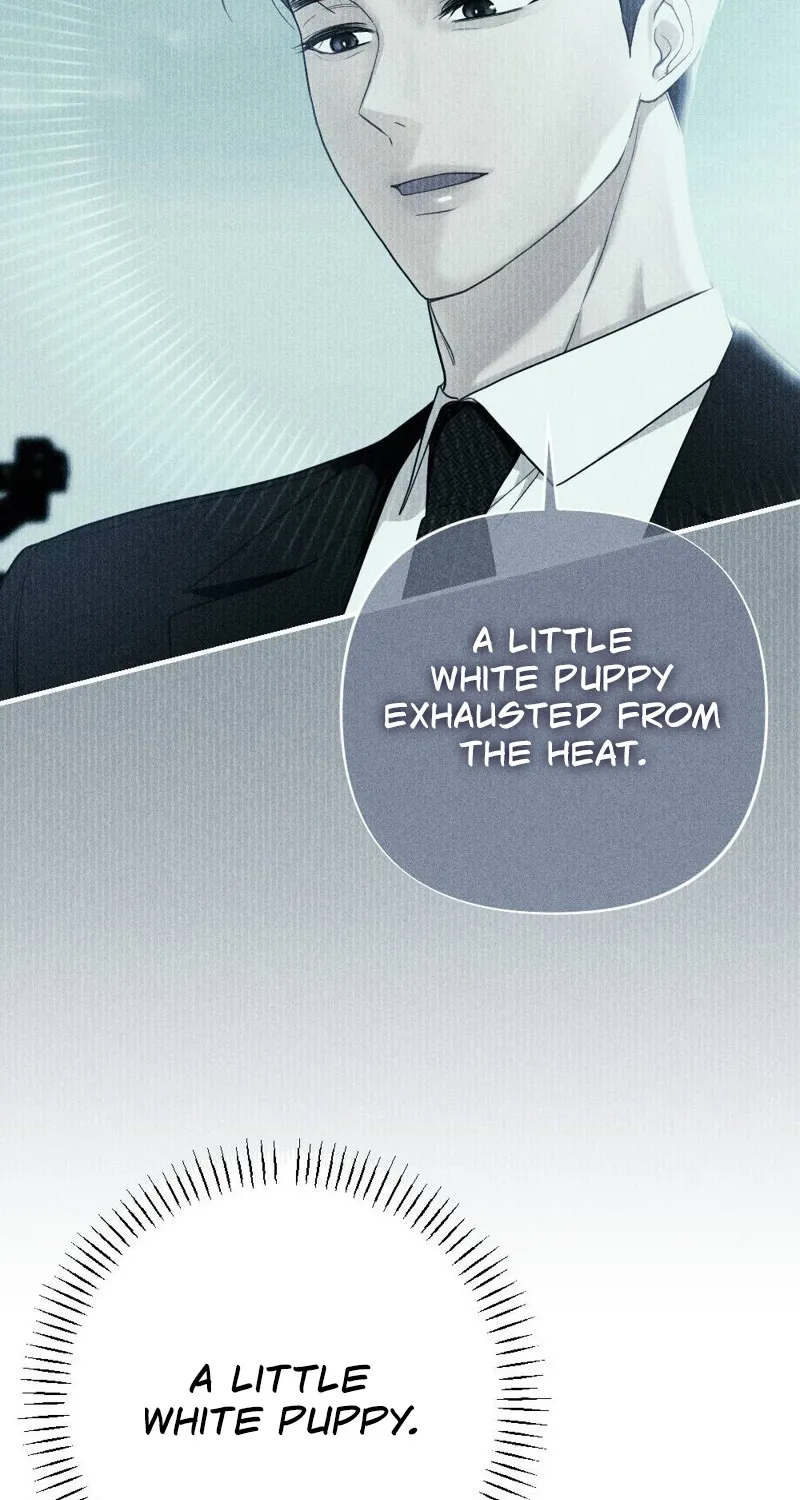 The Child I Secretly Gave Birth To Chapter 4 page 80 - 