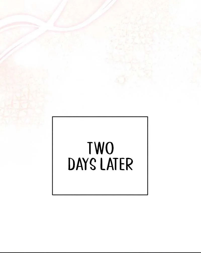 The Child I Secretly Gave Birth To Chapter 5 page 95 - 