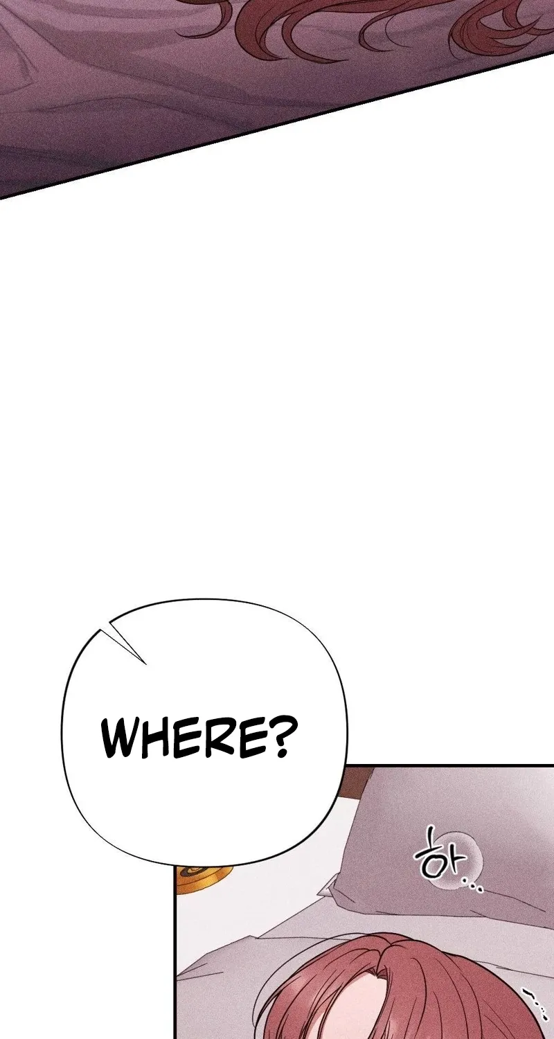 The Child I Secretly Gave Birth To Chapter 7 page 19 - 