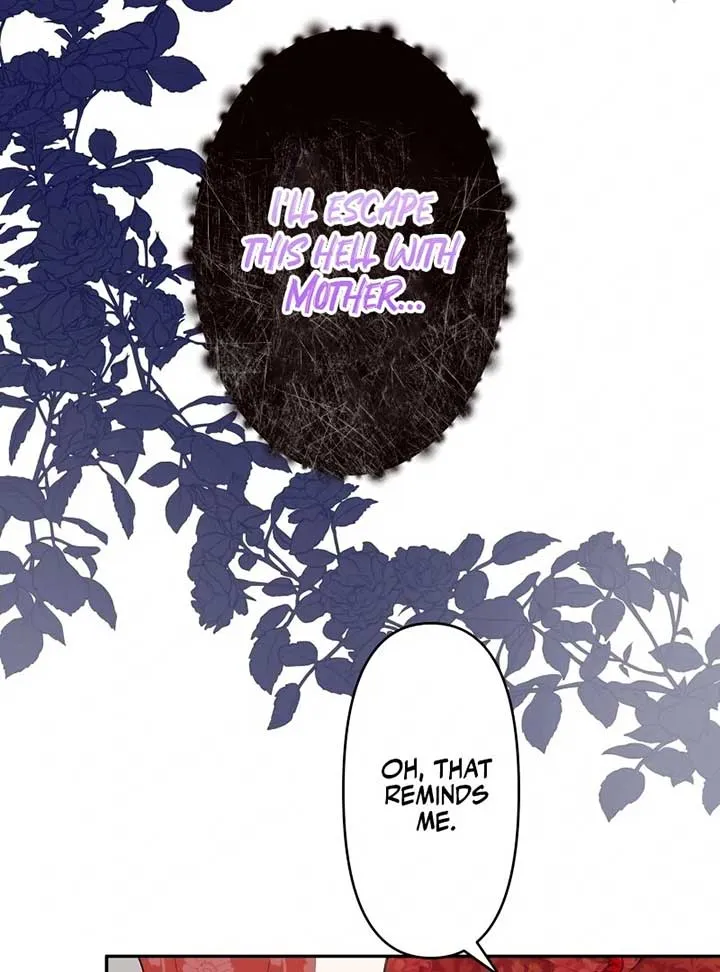 The Child of Sin is the Beloved Bride of the Ice Lion Chapter 1 page 65 - 