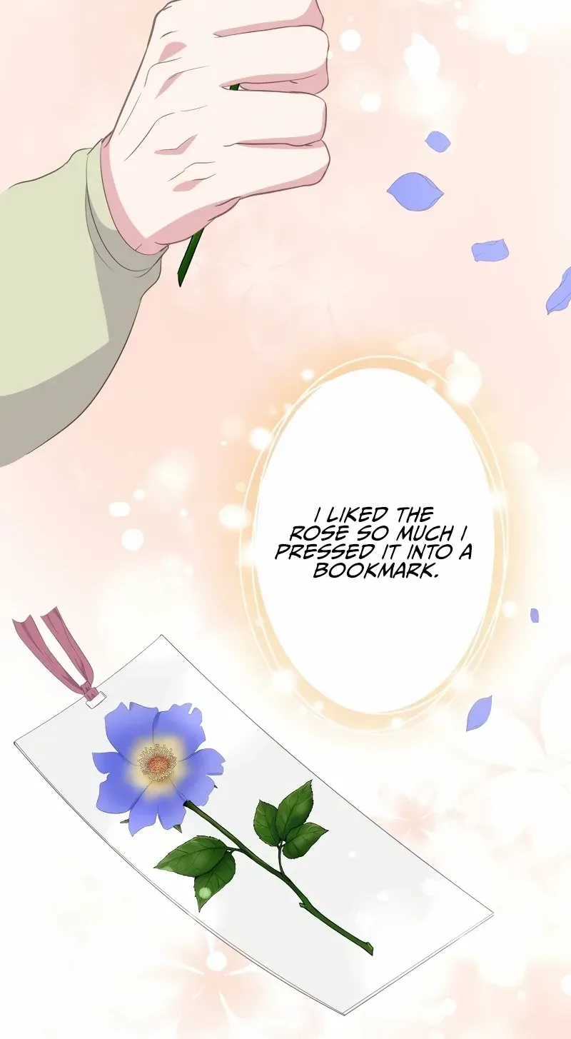 The Child of Sin is the Beloved Bride of the Ice Lion Chapter 11 page 37 - 