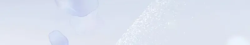 The Child of Sin is the Beloved Bride of the Ice Lion Chapter 12 page 28 - 