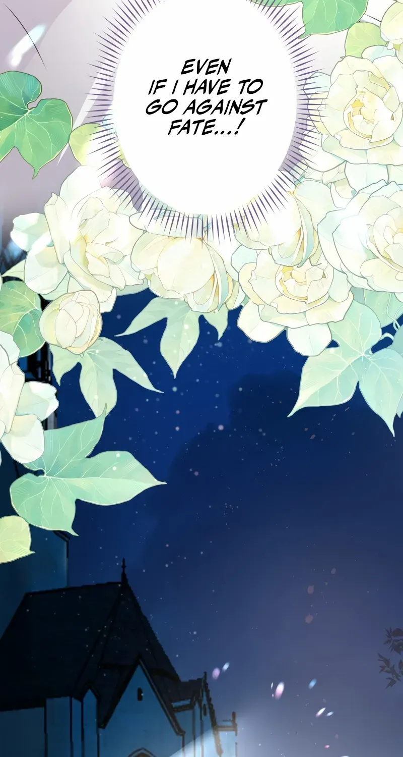 The Child of Sin is the Beloved Bride of the Ice Lion Chapter 16 page 72 - 