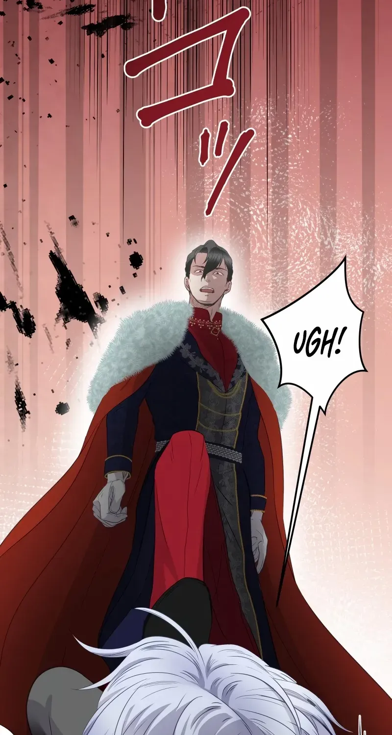 The Child of Sin is the Beloved Bride of the Ice Lion Chapter 17 page 12 - 