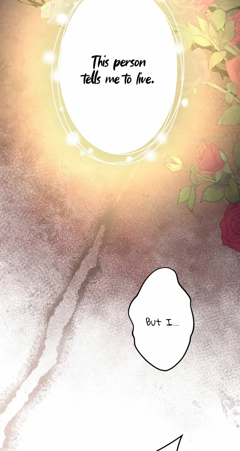 The Child of Sin is the Beloved Bride of the Ice Lion Chapter 18 page 27 - 
