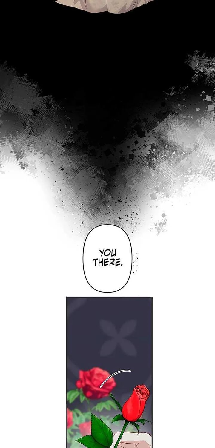 The Child of Sin is the Beloved Bride of the Ice Lion Chapter 2 page 24 - 