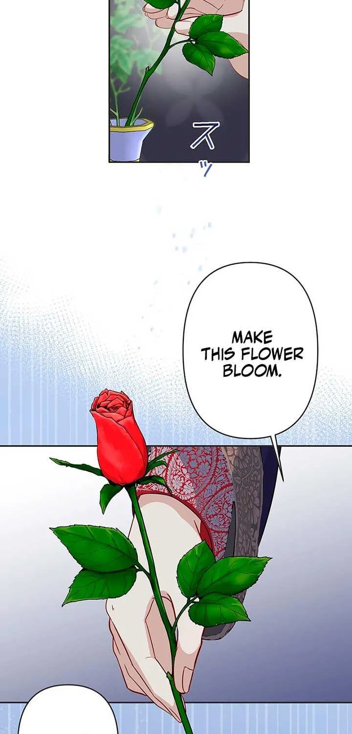 The Child of Sin is the Beloved Bride of the Ice Lion Chapter 2 page 25 - 