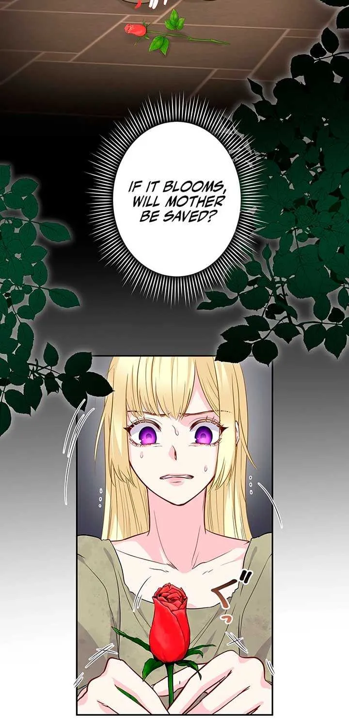 The Child of Sin is the Beloved Bride of the Ice Lion Chapter 2 page 28 - 
