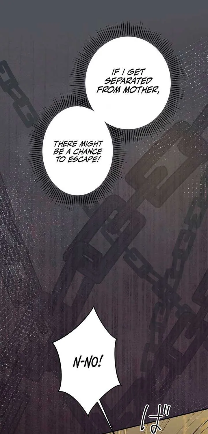 The Child of Sin is the Beloved Bride of the Ice Lion Chapter 2 page 38 - 