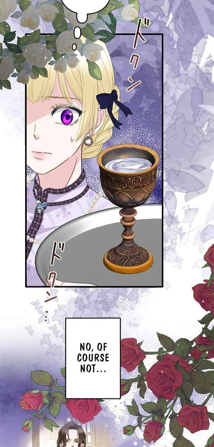 The Child of Sin is the Beloved Bride of the Ice Lion Chapter 27 page 27 - 