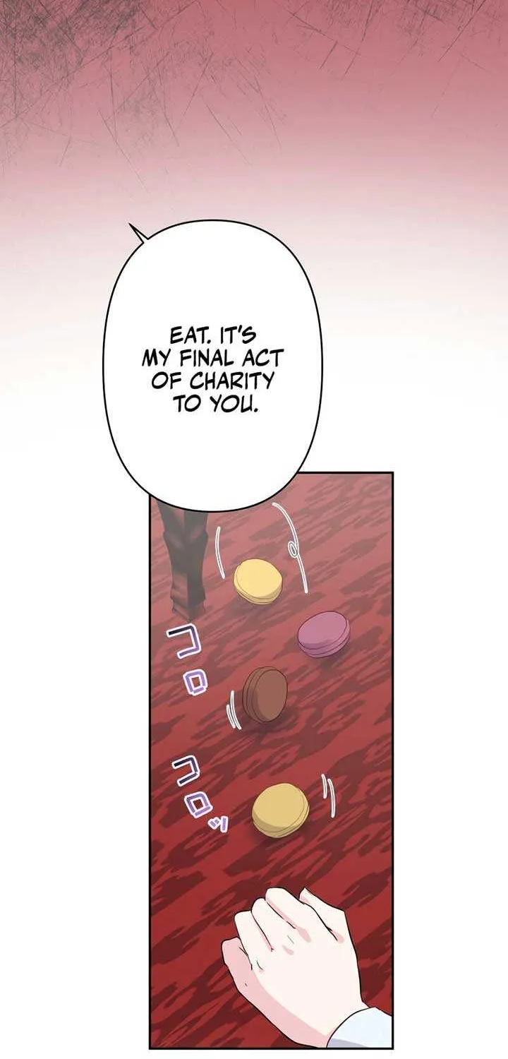 The Child of Sin is the Beloved Bride of the Ice Lion Chapter 3 page 4 - 