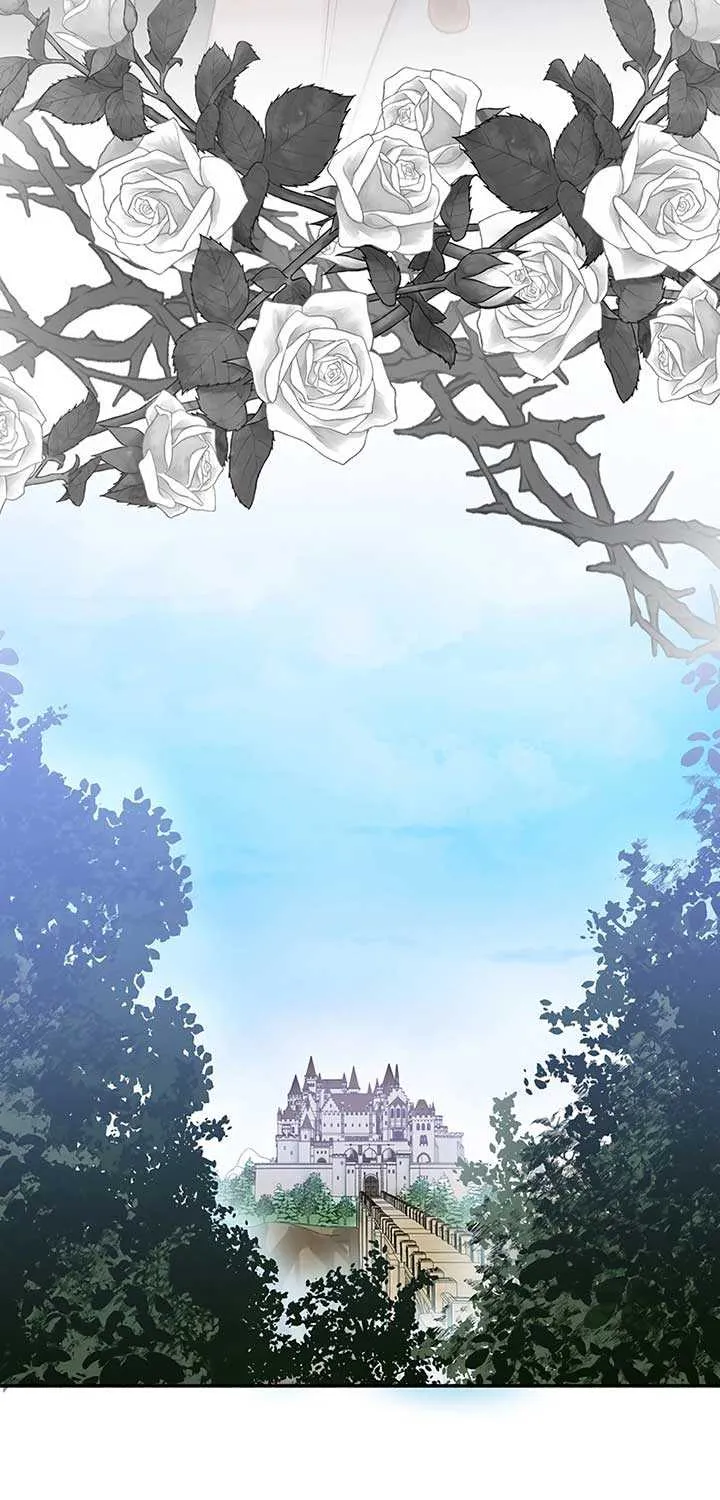 The Child of Sin is the Beloved Bride of the Ice Lion Chapter 3 page 73 - 
