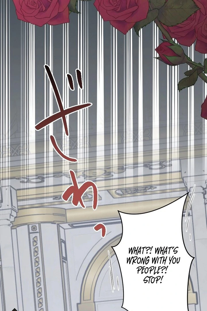 The Child of Sin is the Beloved Bride of the Ice Lion Chapter 35 page 104 - 