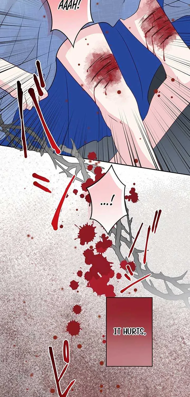 The Child of Sin is the Beloved Bride of the Ice Lion Chapter 4 page 28 - 