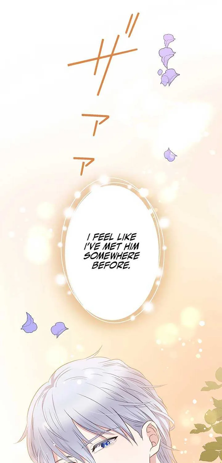 The Child of Sin is the Beloved Bride of the Ice Lion Chapter 5 page 70 - 
