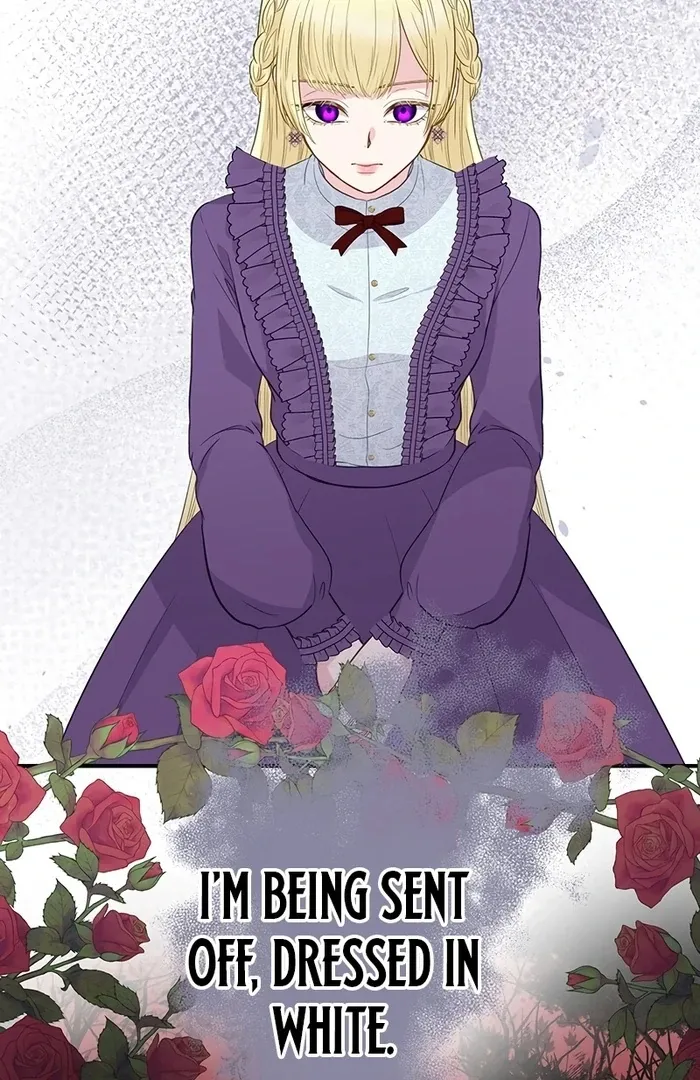 The Child of Sin is the Beloved Bride of the Ice Lion Chapter 7 page 31 - 
