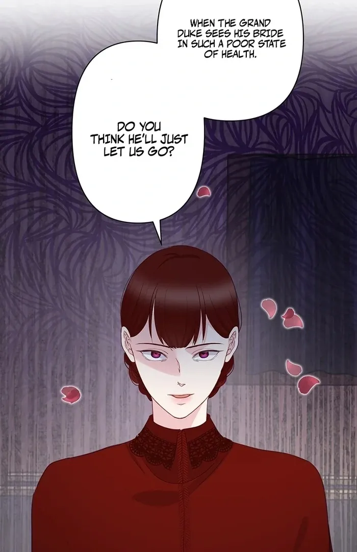 The Child of Sin is the Beloved Bride of the Ice Lion Chapter 9 page 28 - 