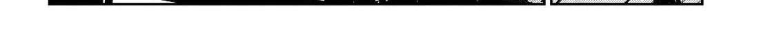 The Children Of Shiunji Family Chapter 41 page 36 - 
