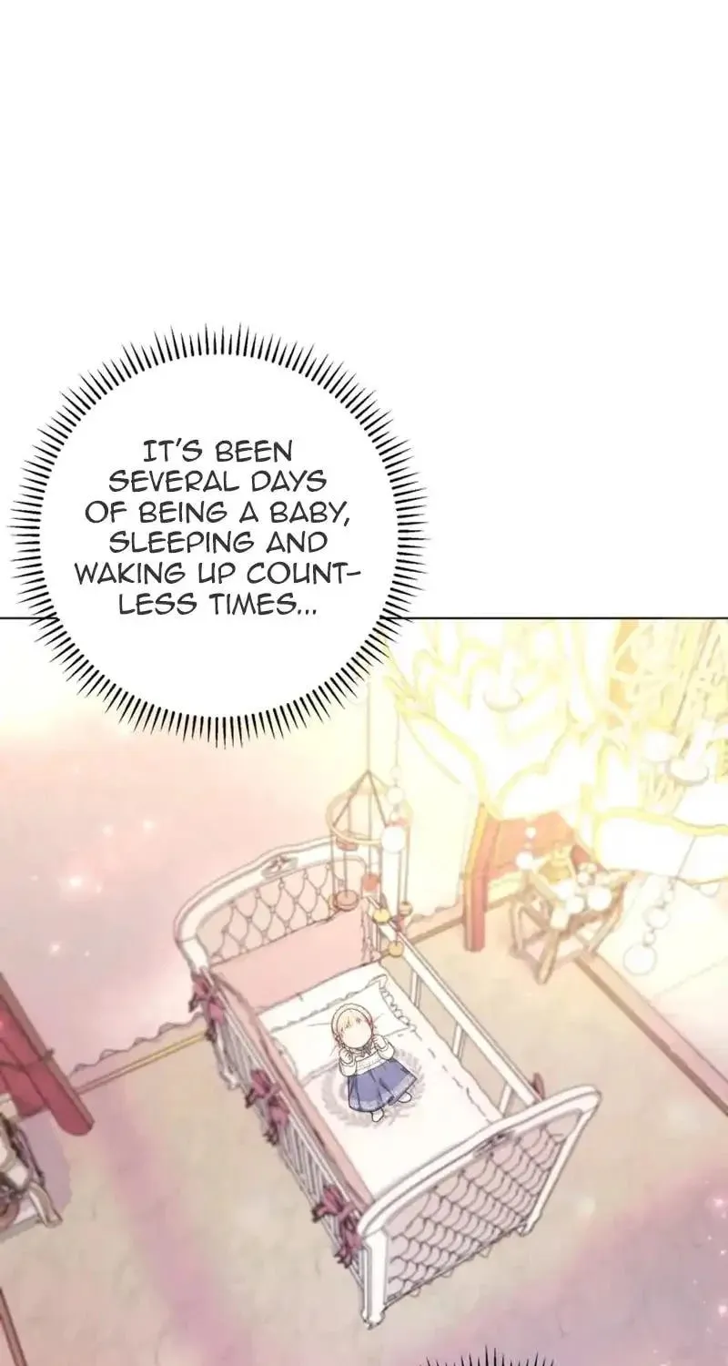 The Chubby Female Lead Is Popular Chapter 1 page 41 - 