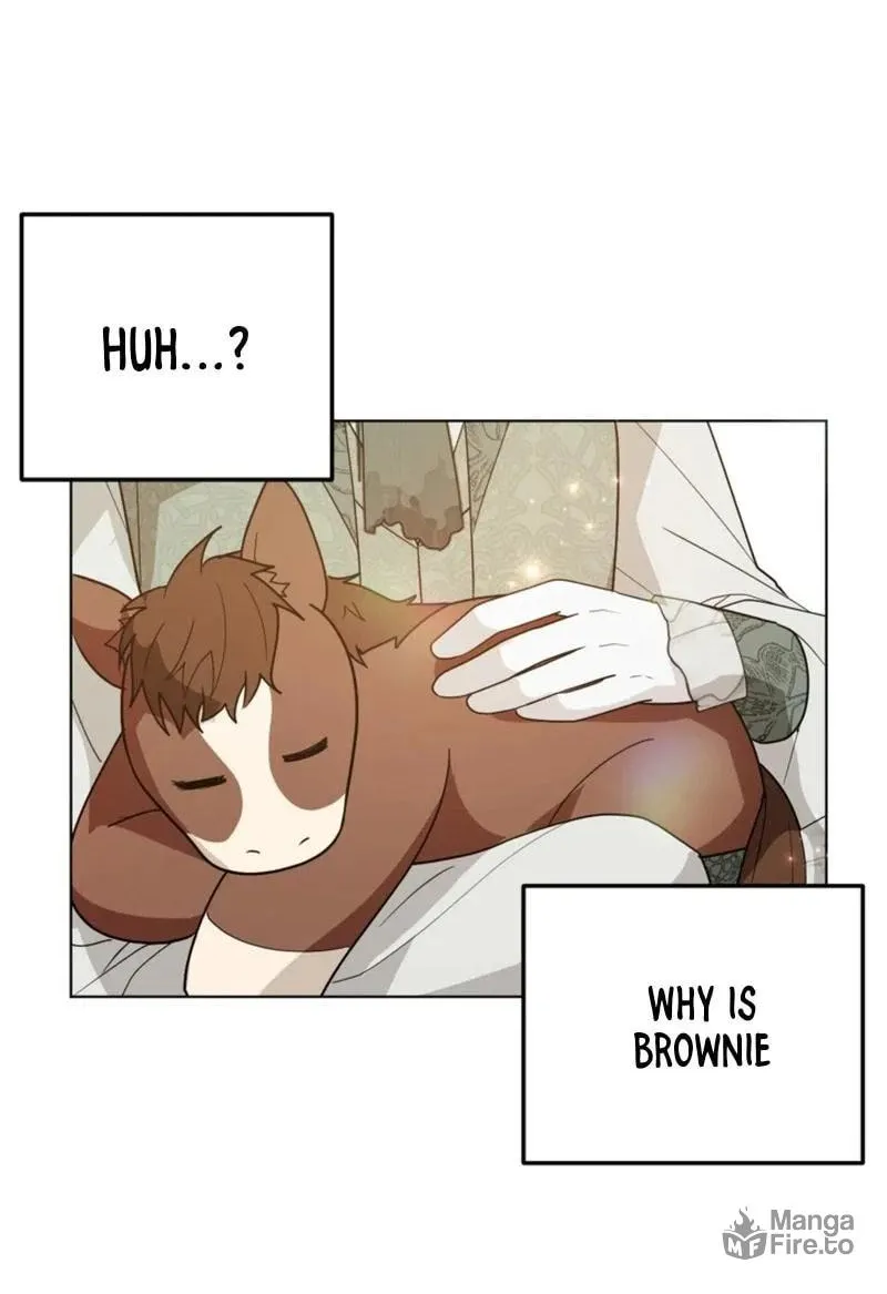 The Chubby Female Lead Is Popular Chapter 14 page 71 - 
