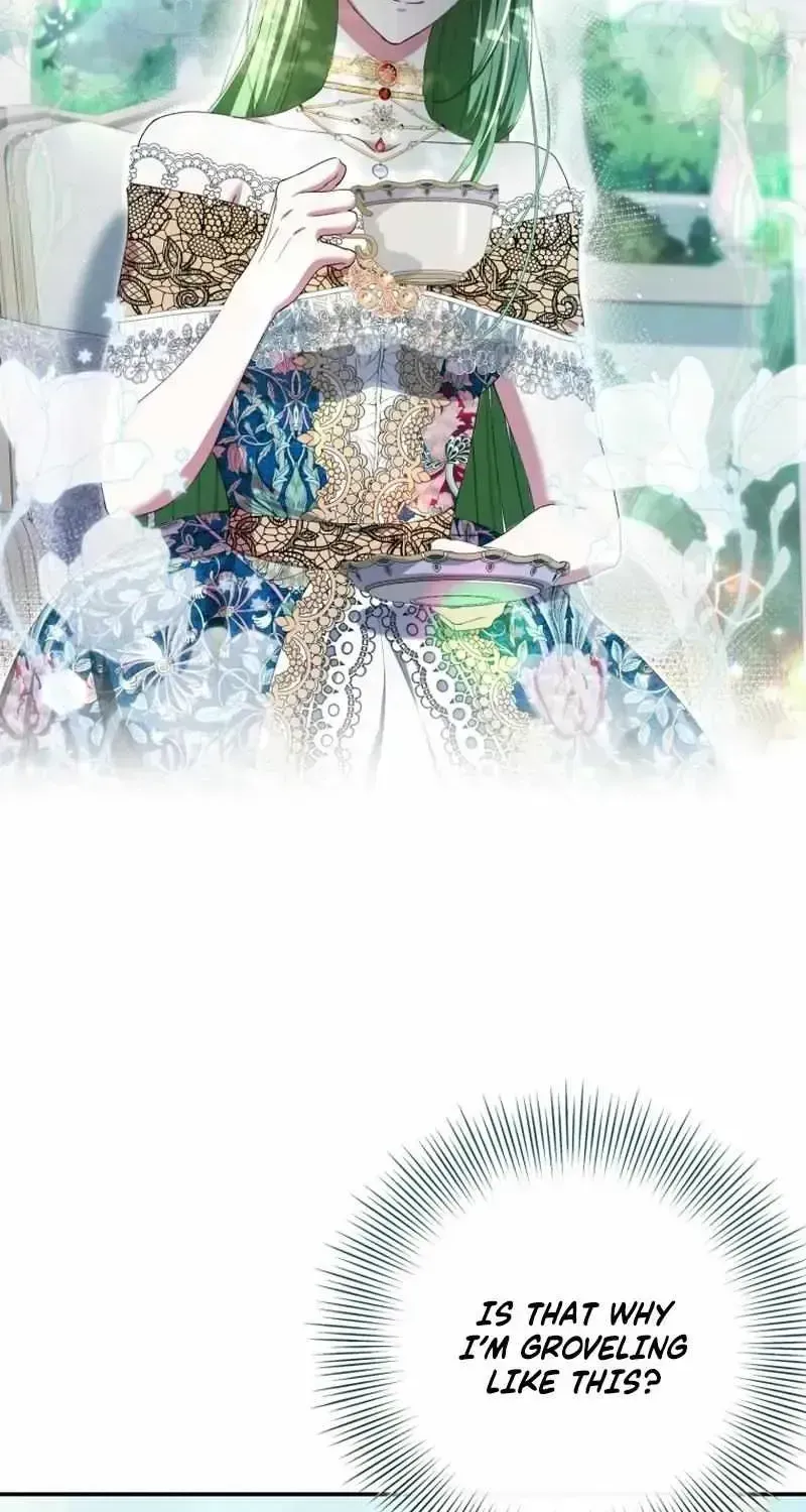The Circumstances of Being Chosen as the Villainess