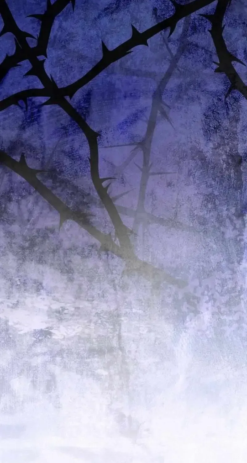 The Circumstances of Being Chosen as the Villainess