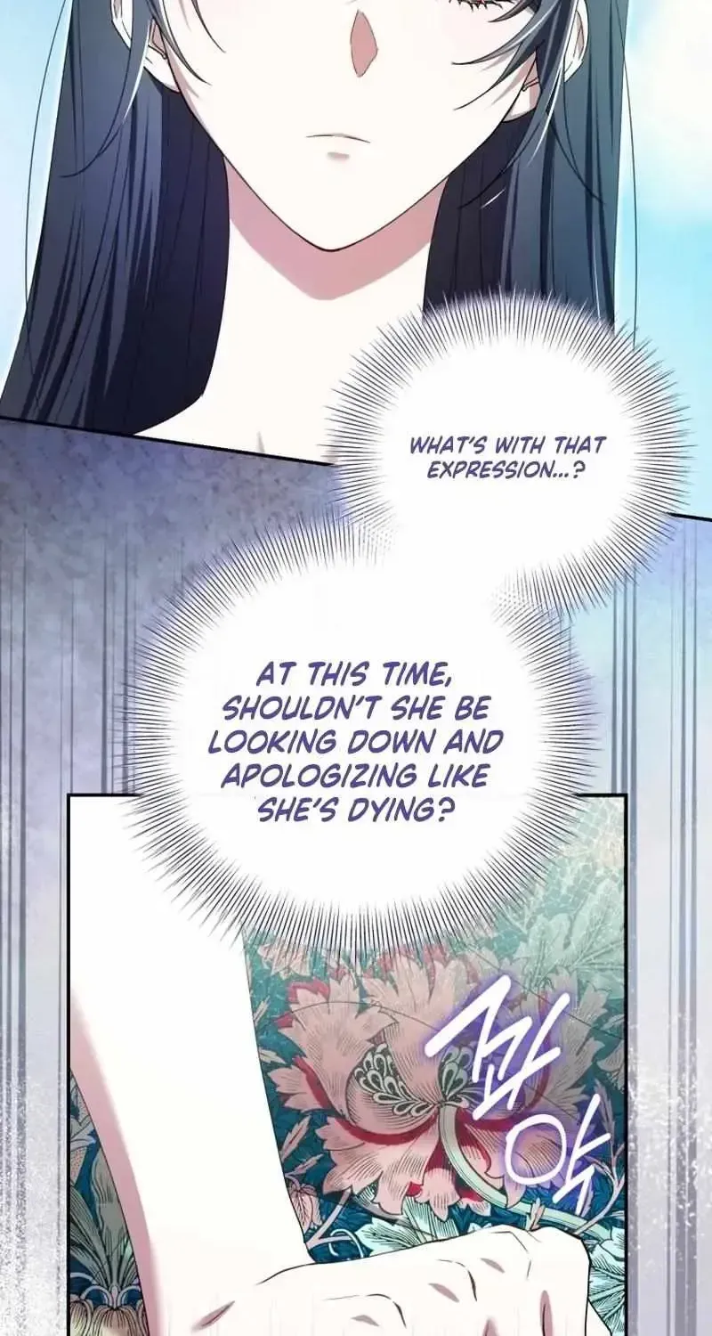 The Circumstances of Being Chosen as the Villainess