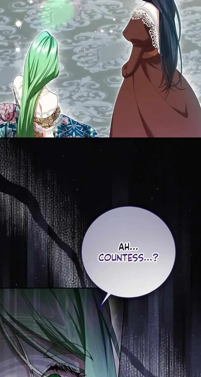 The Circumstances of Being Chosen as the Villainess
