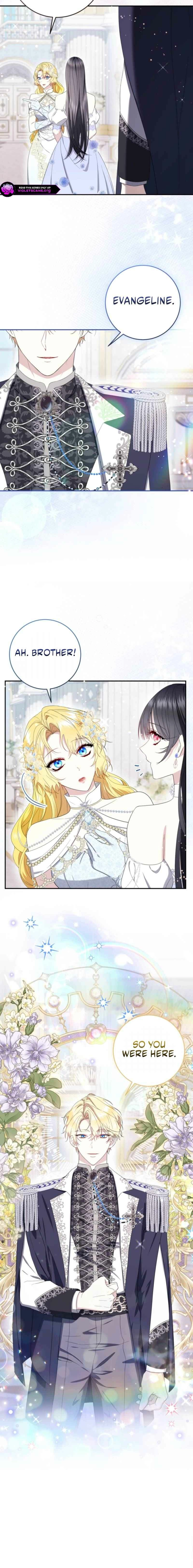 The Circumstances of Being Chosen as the Villainess