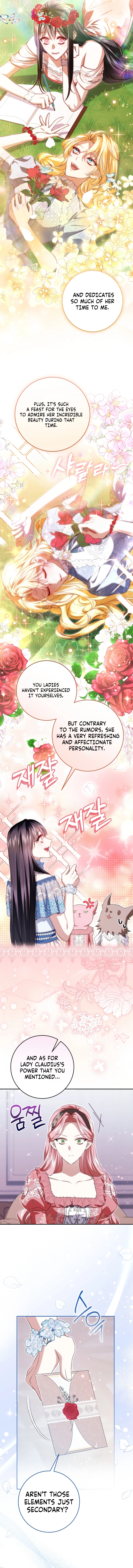 The Circumstances of Being Chosen as the Villainess