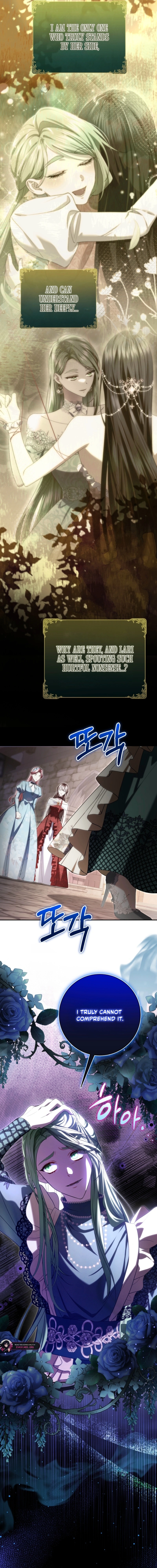 The Circumstances of Being Chosen as the Villainess