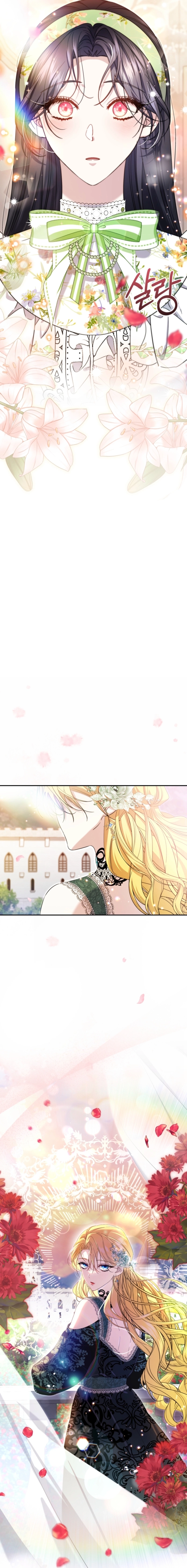The Circumstances of Being Chosen as the Villainess