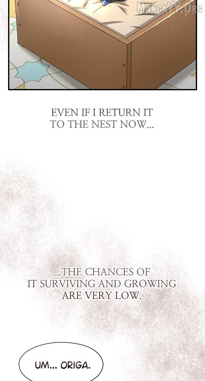 The Circumstances of the Lying Empress Chapter 27 page 29 - 