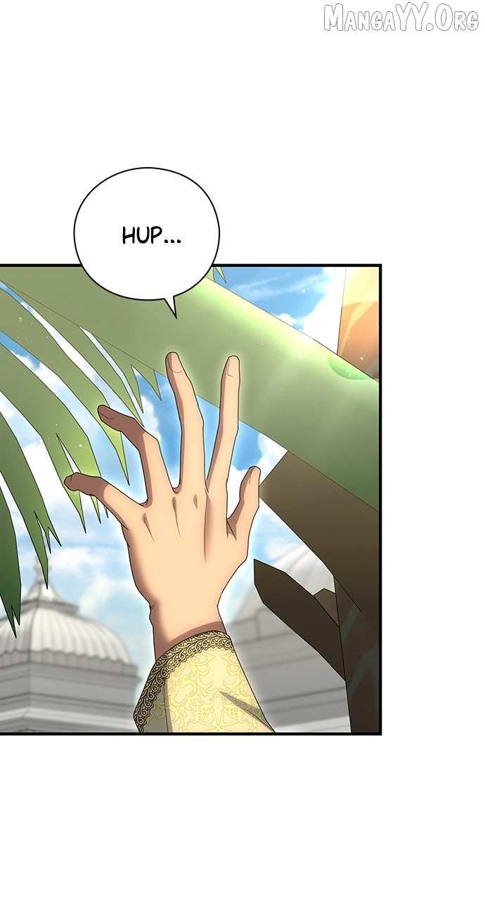 The Circumstances of the Lying Empress Chapter 27 page 44 - 